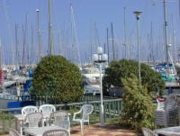 The garden at the yacht club - yes it has been said that there is more interest than appropriate in gardening and window boxes than yacht racing - burn!