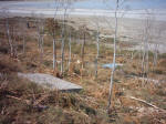 The salt lake in Larnaca Cyprus - where flamingo s should be safe, fridges and matresses are dumped